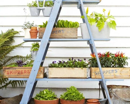 40 Landscaping Ideas for a Small Garden