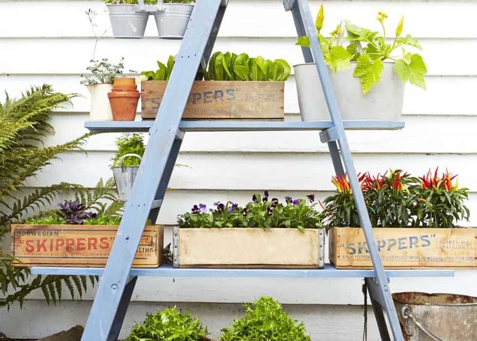 40 Landscaping Ideas for a Small Garden