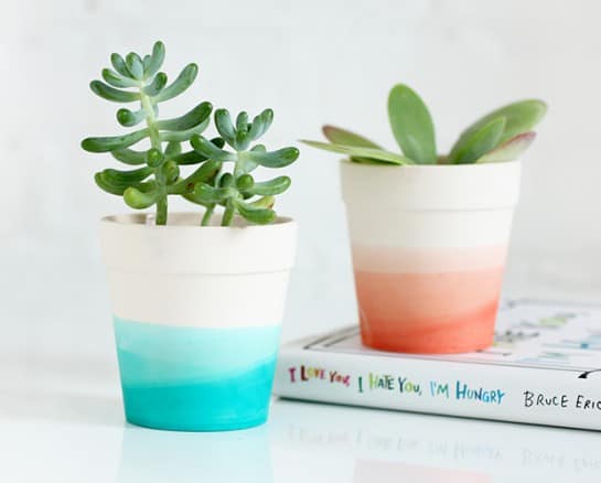 Affordable DIY Projects Just in Time for Spring