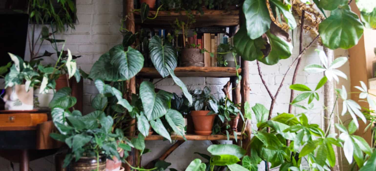 40 Spring Decor Ideas That Will Instantly Freshen Up the Dullest Indoor Space