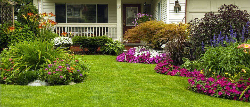35 Summer Landscaping Tips for the Best Lawn