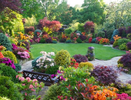 40 plantas perennes para tu jardín de verano