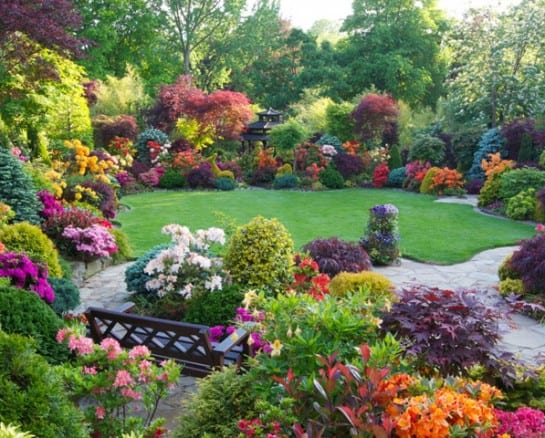 40 Perennials for the Best Summer Garden