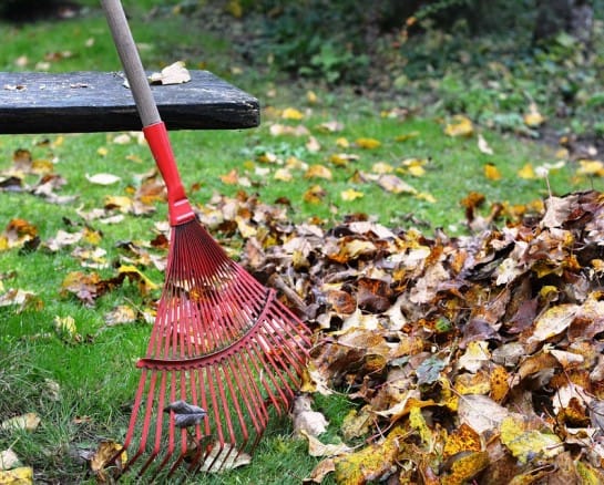 How to Get the Lawn and Garden Ready for Winter