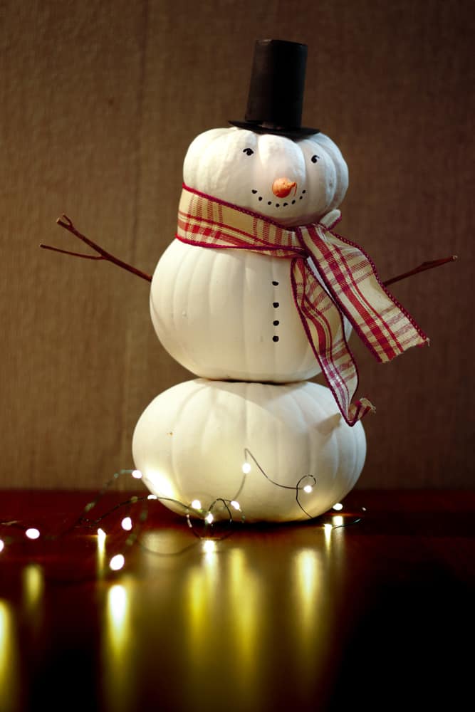 Shutterstock 1253741953