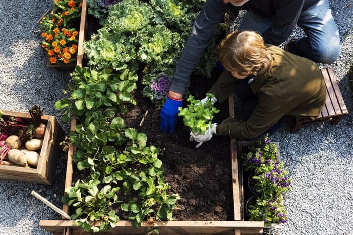 30 Reasons Why Gardening is Good For Health