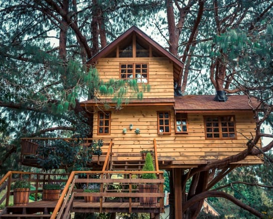 Fun and Creative Accessories for a Treehouse or Playground