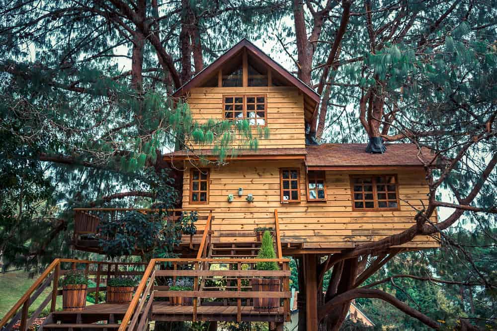 Fun and Creative Accessories for a Treehouse or Playground