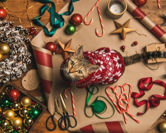 Smart Home Organization Hacks for Seasonal Items