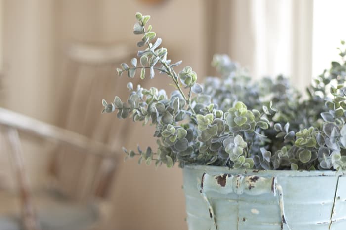 Distressed Metal Accessories