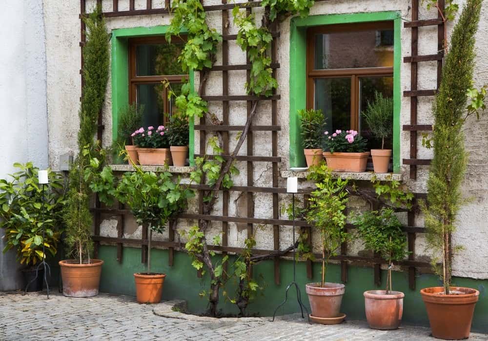 DIY Trellis Ideas that Will Transform the Garden this Spring