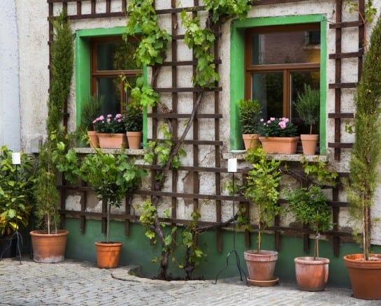 DIY Trellis Ideas that Will Transform the Garden this Spring