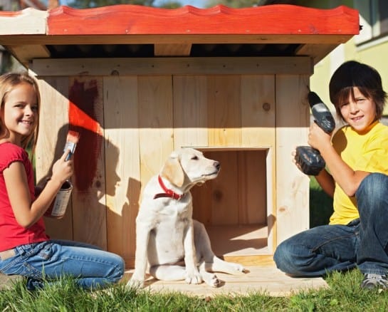 How to Build a DIY Dog House the Family Pet Won’t Want to Leave