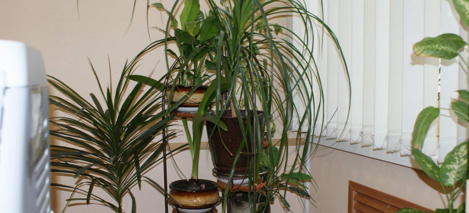 How to Cut Down on Air Pollution at Home