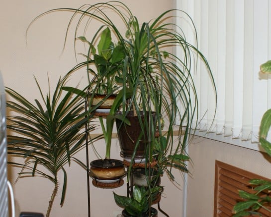 How to Cut Down on Air Pollution at Home