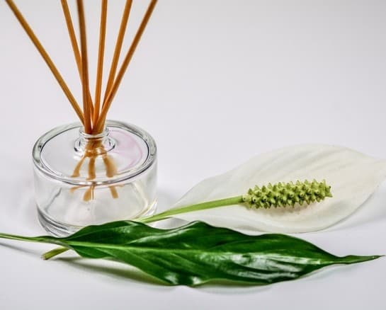 The Ultimate Guide to Home Fragrances 