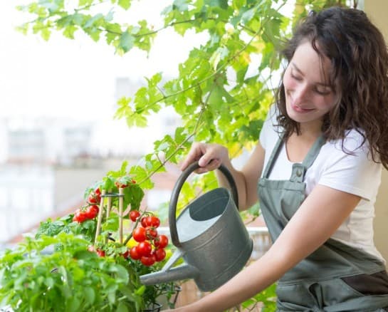 Start a Dreamy Kitchen Garden Today with These Tips