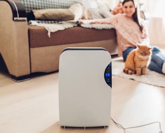 20 Air Purifiers Actually Worth the Money