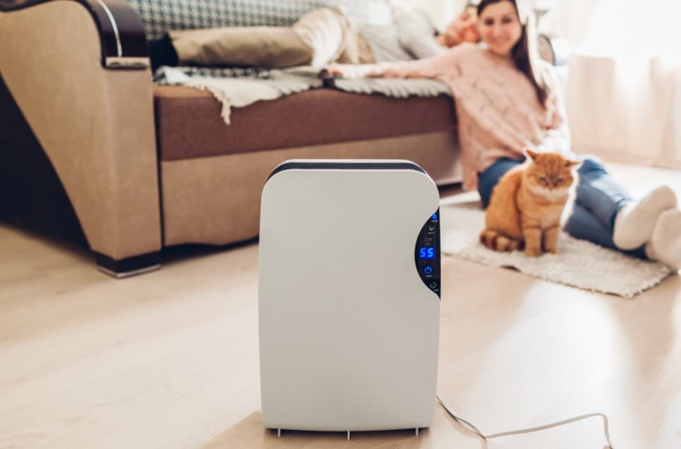 20 Air Purifiers Actually Worth the Money