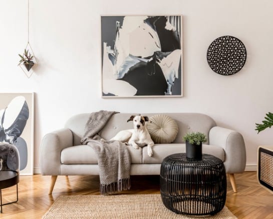 Home Trends That Will Be In and Out in 2025