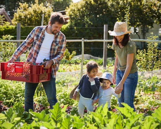 Avoid Huge Mistakes With These Expert Gardening Tips