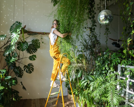 Houseplant Hacks and How to Make Your Plant Babies Thrive