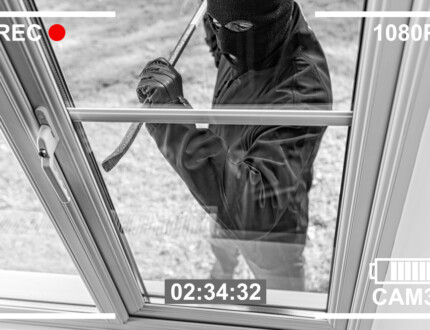 Best Outdoor Plants for Deterring Burglars from Your Home