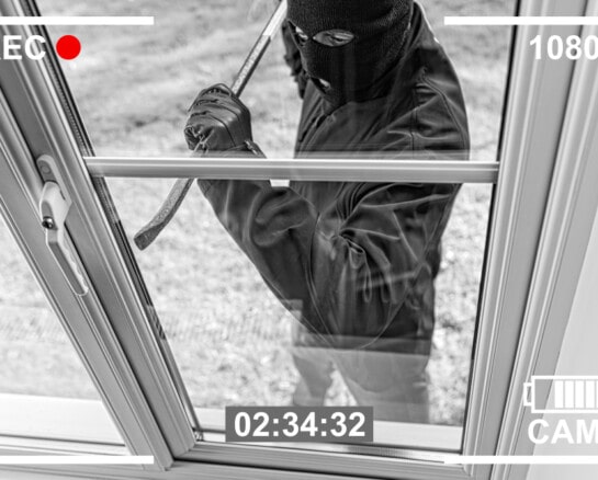 Best Outdoor Plants for Deterring Burglars from Your Home