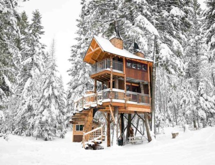 Best Treehouse Escapes on Airbnb 
