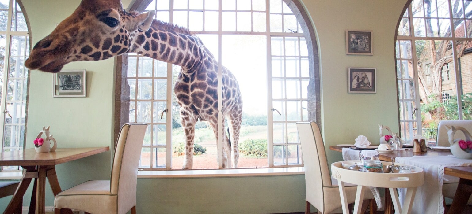 These Quirky Hotels are the Destinations of the Moment