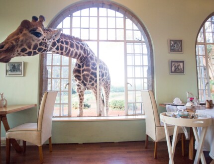 These Quirky Hotels are the Destinations of the Moment