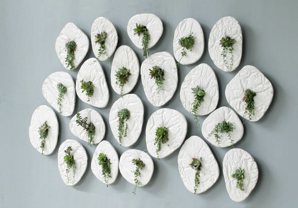 Hanging Wall Planters that Will Make Your Home Come Alive