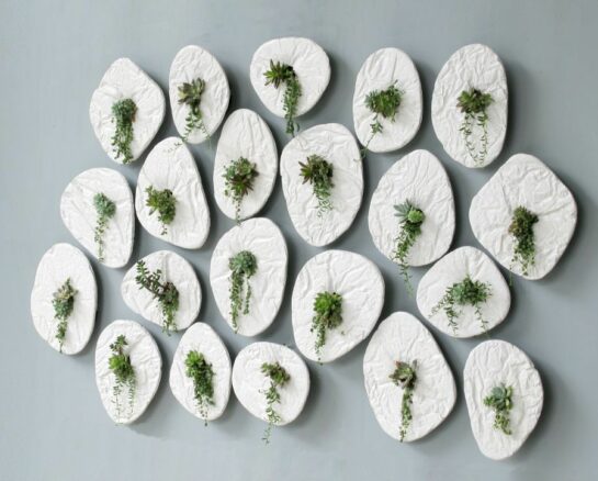 Hanging Wall Planters that Will Make Your Home Come Alive