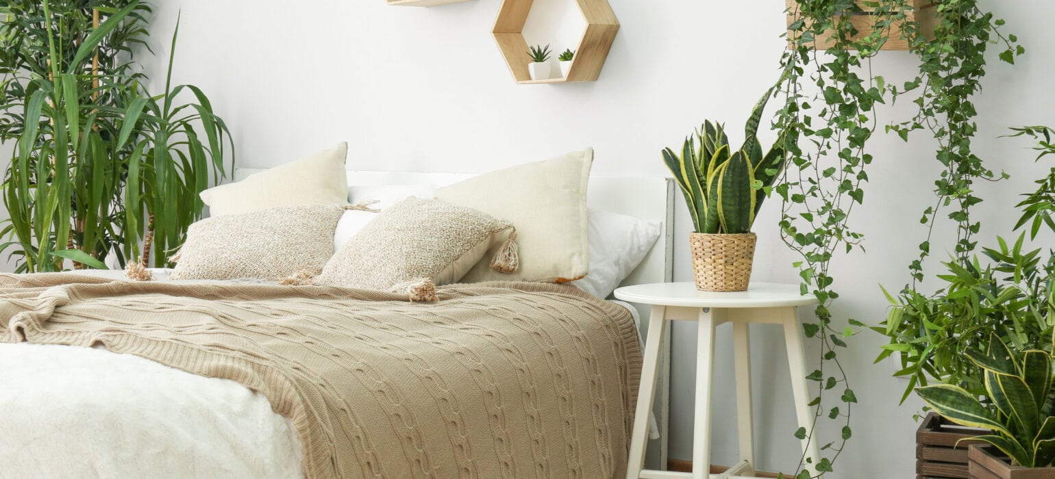 Plant Mom 101: Clever Ways to Style Plants at Home