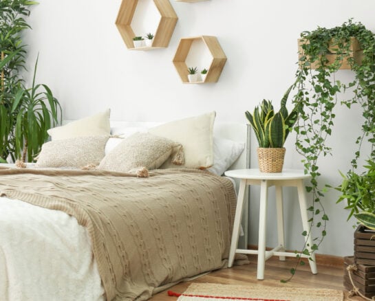 Plant Mom 101: Clever Ways to Style Plants at Home