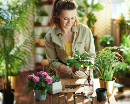 Growing these Beneficial Plants in Your Garden Will Change Your Health