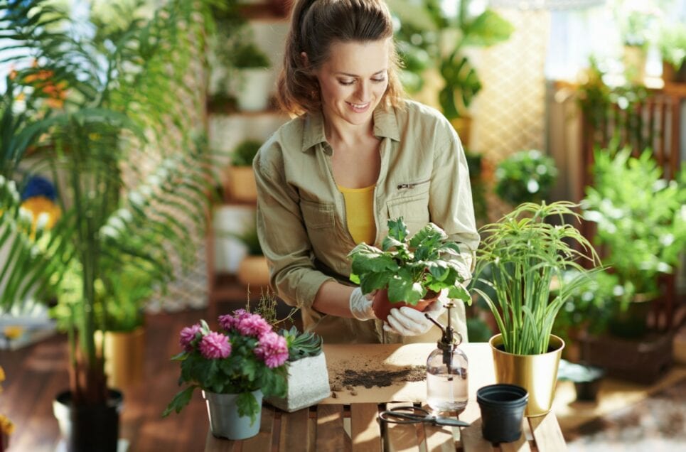 Growing these Beneficial Plants in Your Garden Will Change Your Health