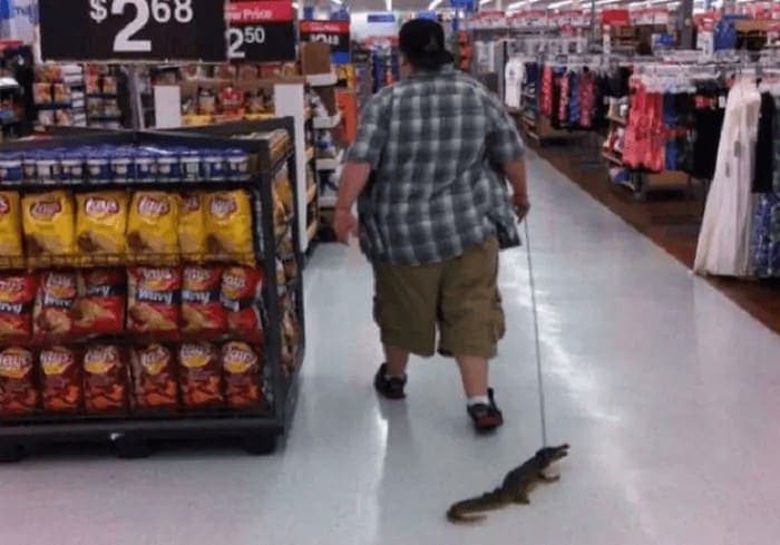 ​The Therapy Baby Alligator