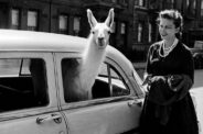 40 Fotos Raras Que Todos os Entusiastas de História Deveriam Ver