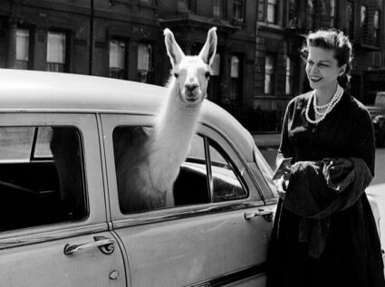 40 Fotos Raras Que Todos os Entusiastas de História Deveriam Ver