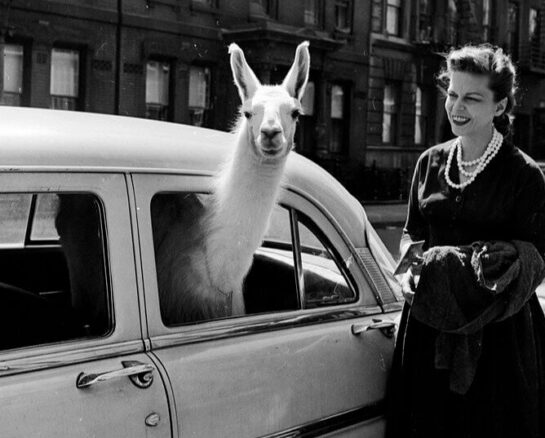 40 Fotos Inéditas de la Historia Mundial