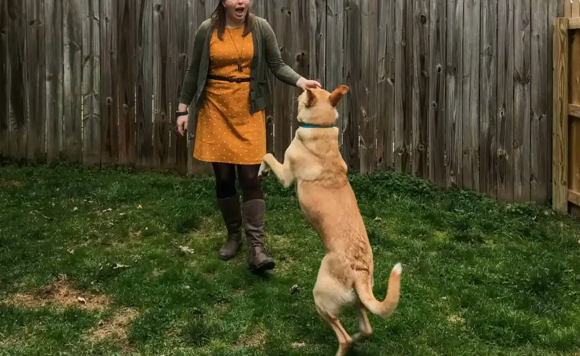 Dog Training Hacks That Will Make Home Life Easier
