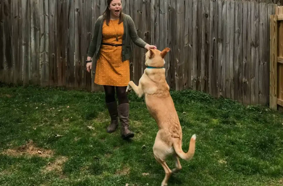 Dog Training Hacks That Will Make Home Life Easier