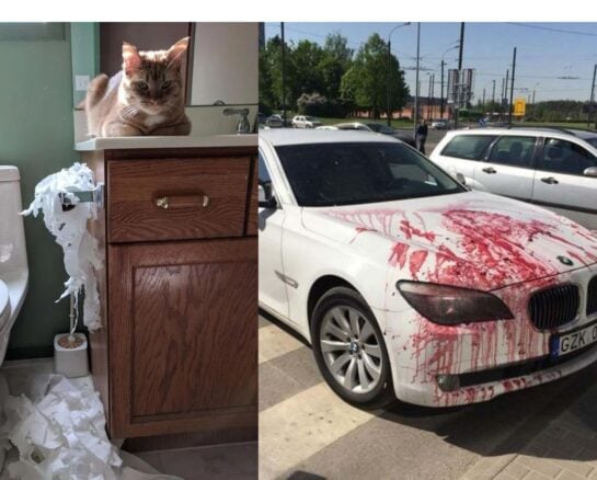 Petty Acts of Sweet Revenge That Bring Deep Satisfaction