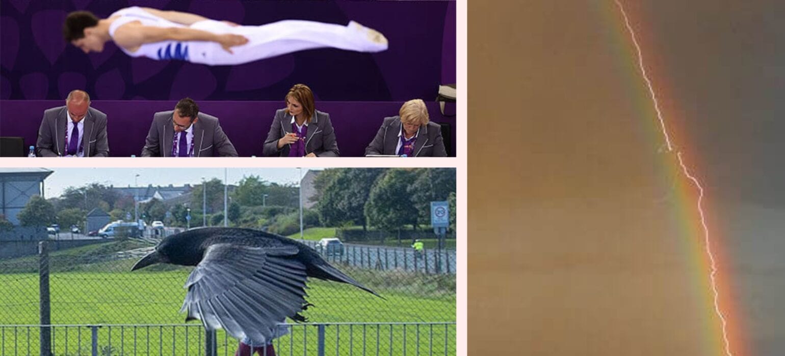 Perfect Timing: Photos That Will Leave You in Awe