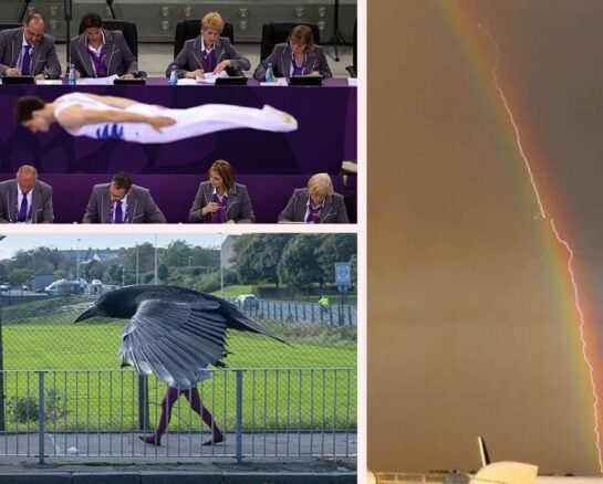 Perfect Timing: Photos That Will Leave You in Awe