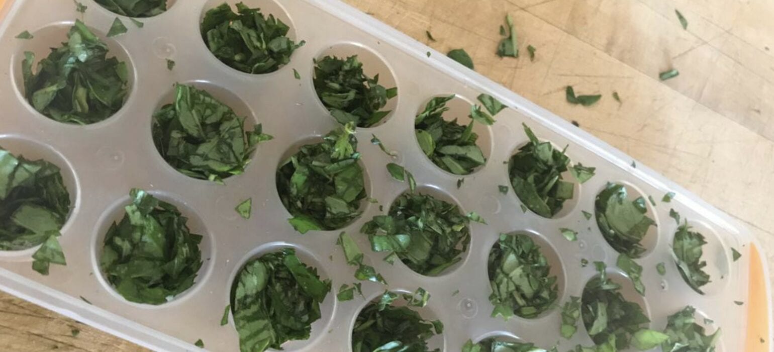 These Insanely Clever Hacks Will Help Anyone Grow A Perfect Garden
