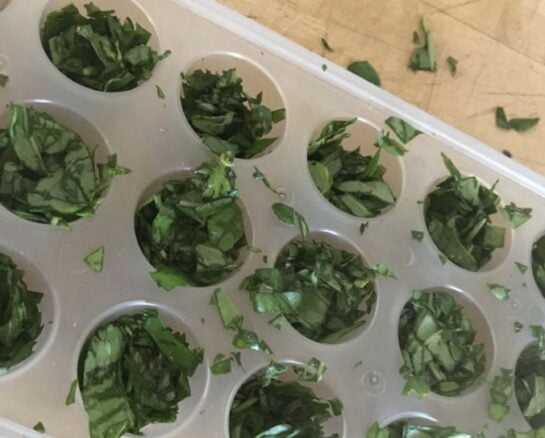 These Insanely Clever Hacks Will Help Anyone Grow A Perfect Garden