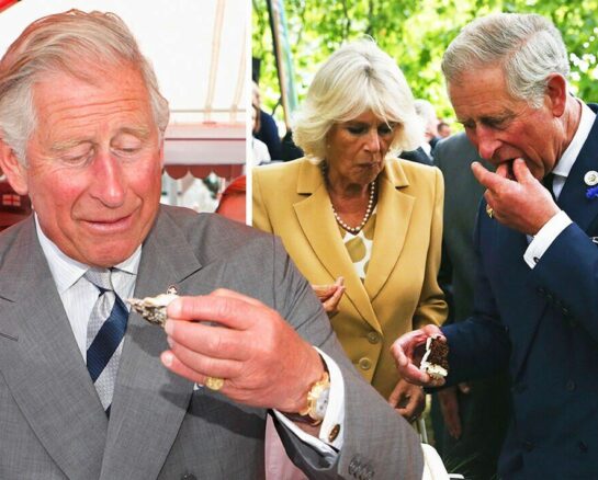 The Quirkiest Details About King Charles’ Home Life