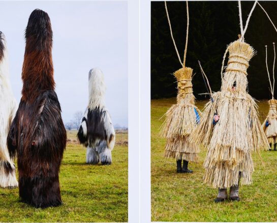 Weird But True: These Photos Capture the Strange World We Live In!